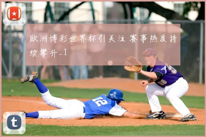 欧洲博彩世界杯引关注 赛事热度持续攀升_1