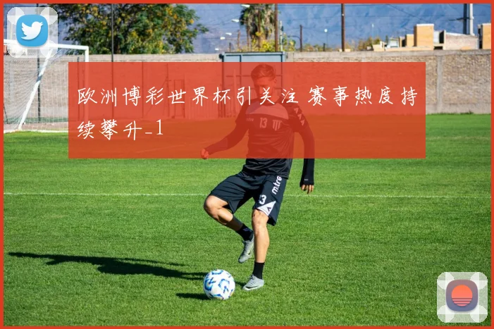 欧洲博彩世界杯引关注 赛事热度持续攀升_1