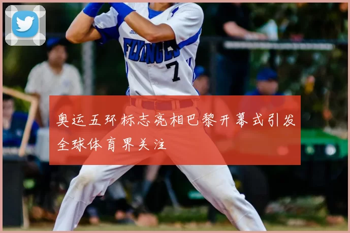 奥运五环标志亮相巴黎开幕式引发全球体育界关注