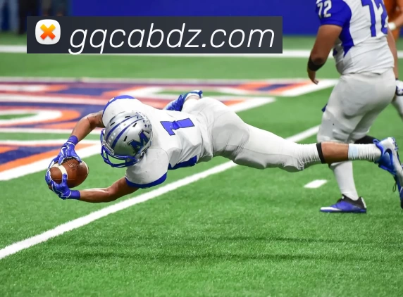 看球网 - 高清免费的NBA、英超、欧冠等热门赛事实时直播平台发展历程